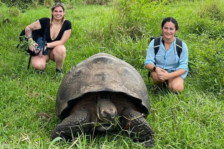 Giant Turtle Watching and Lava Tunnels Tour - Photo 1 of 22